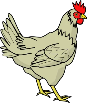 Charming Farm Hen Illustration Clipart: A Stylized Poultry Artwork Design