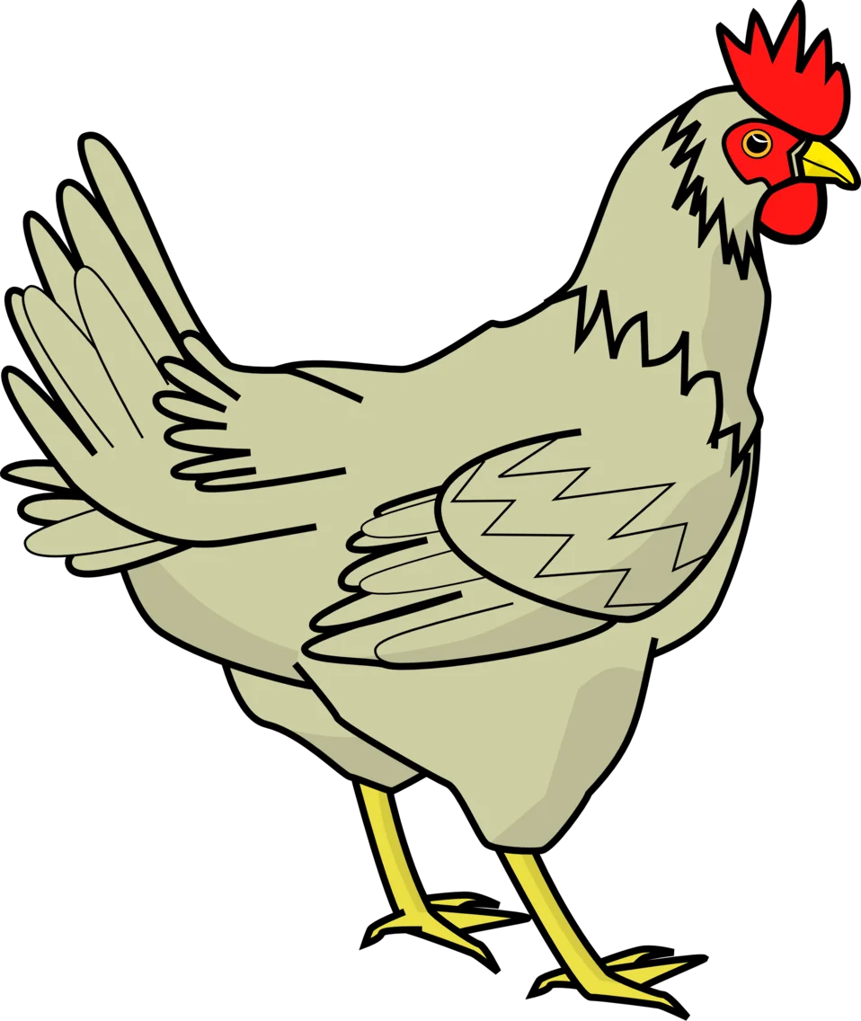 Charming Farm Hen Illustration Clipart: A Stylized Poultry Artwork Design