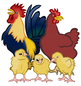 Cheerful Farm Family Chicken Clipart: Rooster, Hen, and Adorable Chicks