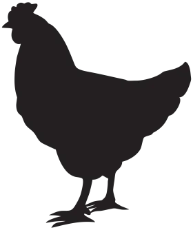 Elegant Black Silhouette of a Chicken Clipart Design for Farmyard Graphics