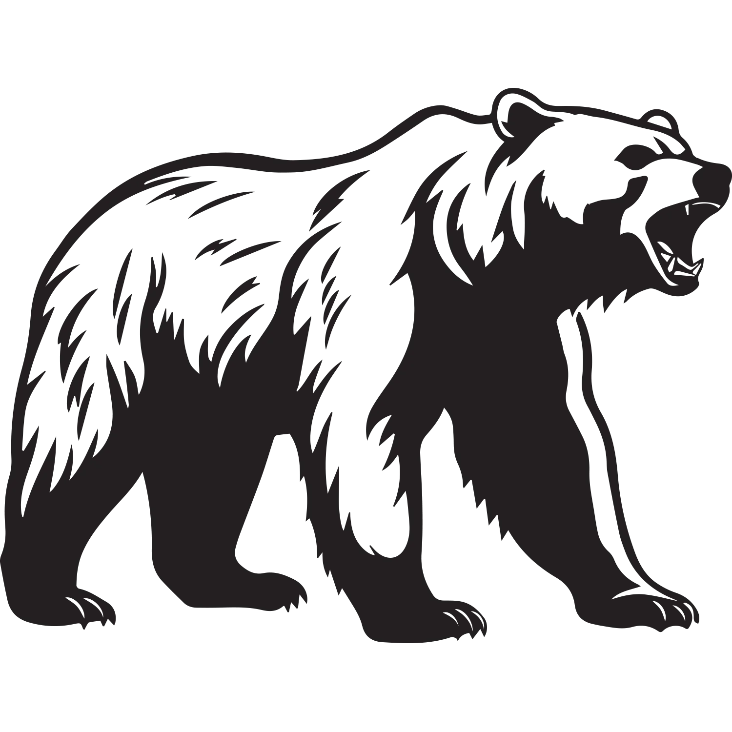 Fierce Black and White Growling Bear Clipart Illustration Design