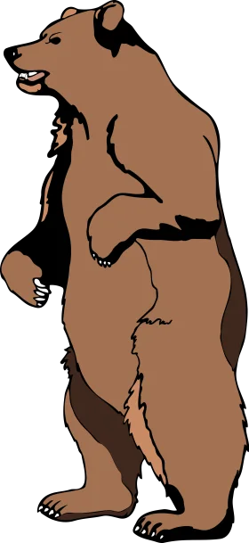 Majestic Standing Brown Bear Wilderness Clipart Illustration Design