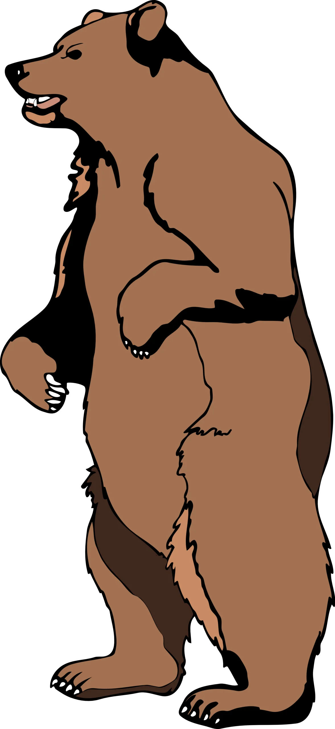 Majestic Standing Brown Bear Wilderness Clipart Illustration Design