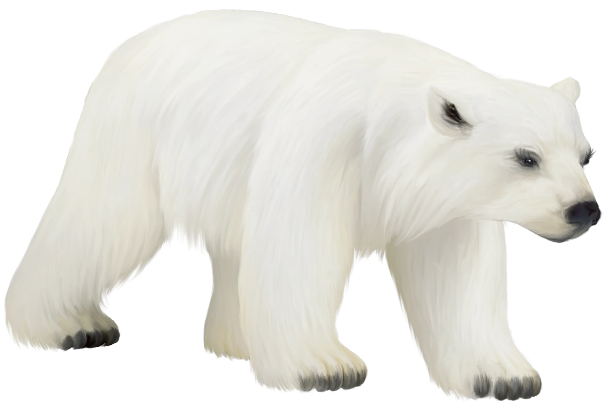 Minimalist White Polar Bear Clipart Illustration with Soft Monochromatic Details