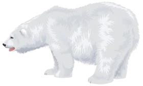 Minimalist White Polar Bear Clipart Illustration with Soft Textured Fur