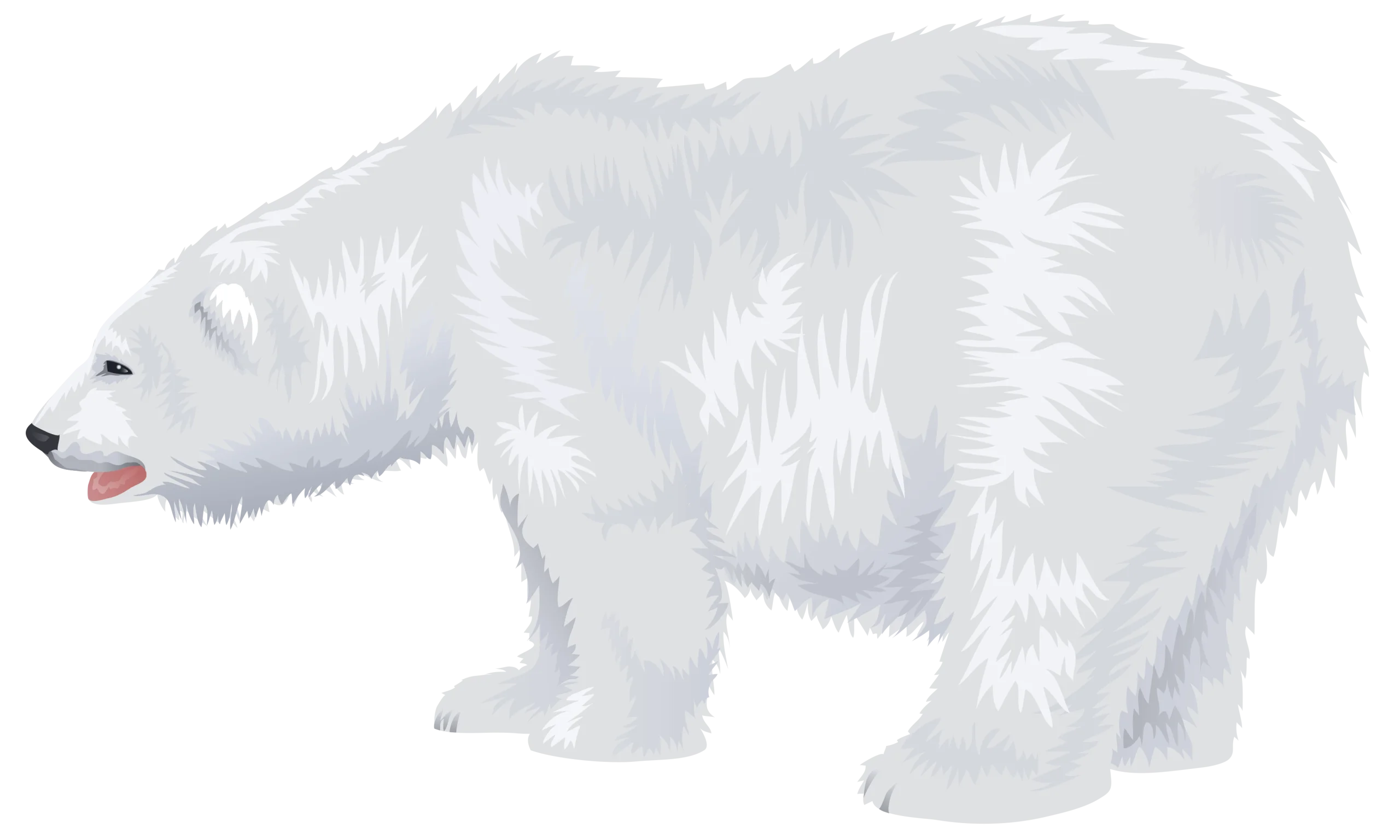 Minimalist White Polar Bear Clipart Illustration with Soft Textured Fur