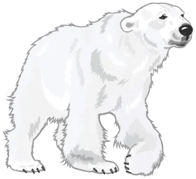 Monochrome Polar Bear Hand-Drawn Realistic Wilderness Clipart Illustration