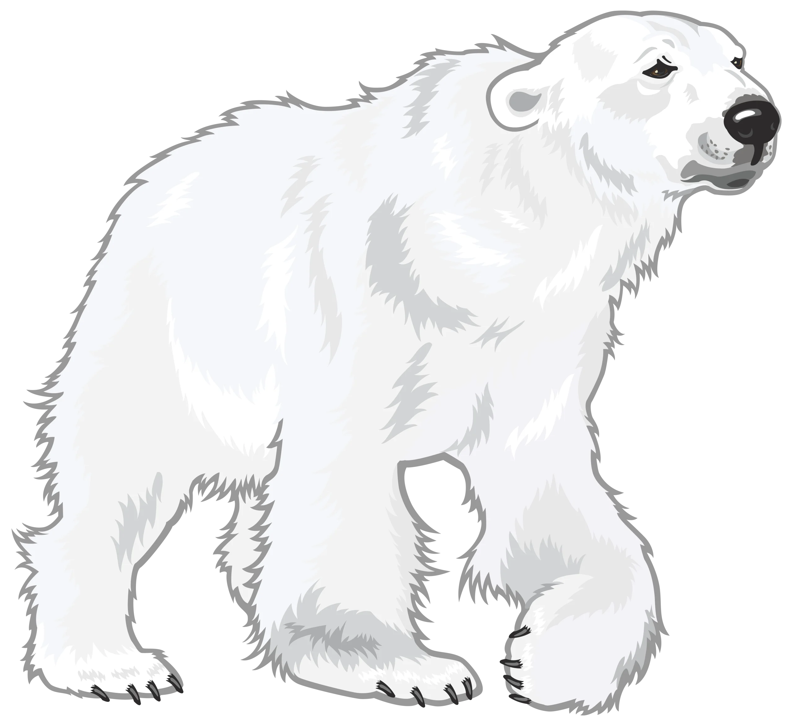 Monochrome Polar Bear Hand-Drawn Realistic Wilderness Clipart Illustration