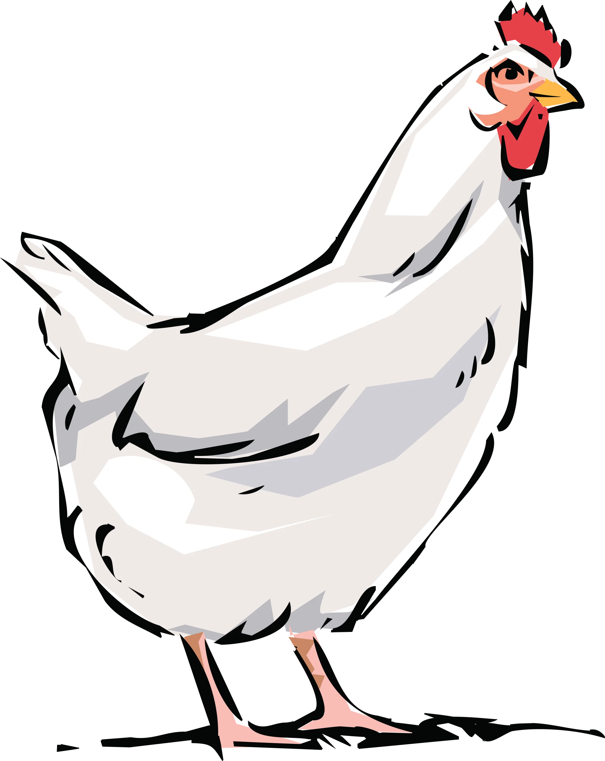 Stylish White Hen Clipart Illustration with Playful Artistic Rendering
