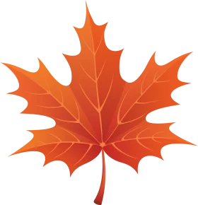 Elegant Autumn Maple Leaf Clipart with Intricate Vein Detailing and Warm Color Palette