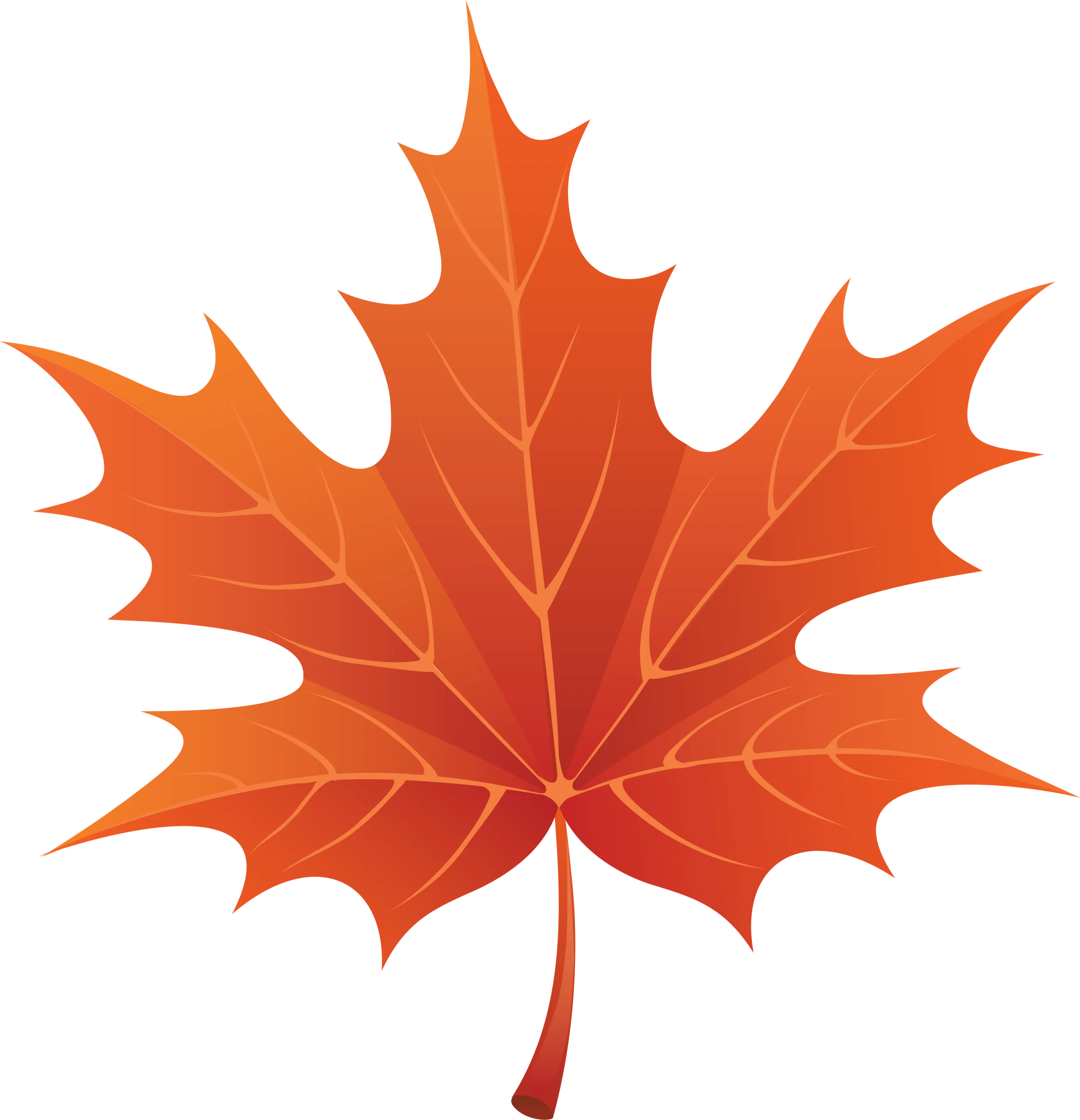 Elegant Autumn Maple Leaf Clipart with Intricate Vein Detailing and Warm Color Palette