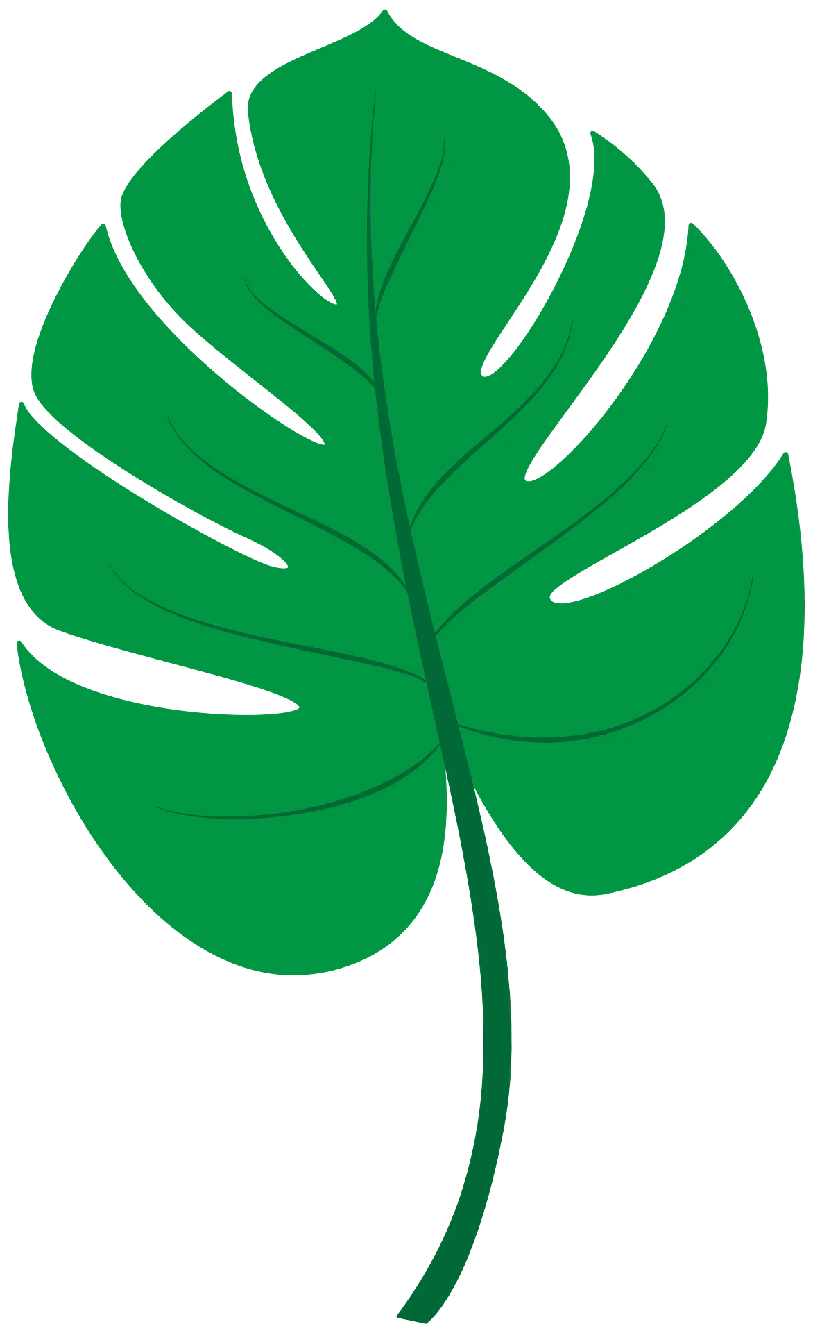 Lush Green Monstera Deliciosa Leaf Botanical Clipart Illustration Design