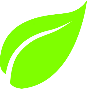 Fresh Green Eco-Friendly Leaf Clipart Design with Smooth Curves and Natural Silhouette