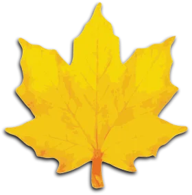 Bright Golden Maple Leaf Clipart - Autumn Season Nature Illustration