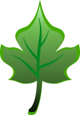 Elegant Green Leaf Clipart with Pointed Edges and Natural Venation Design