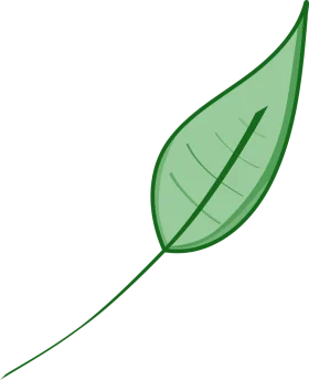 Elegant Green Leaf Clipart with Simple Linear Veins and Delicate Stem Design
