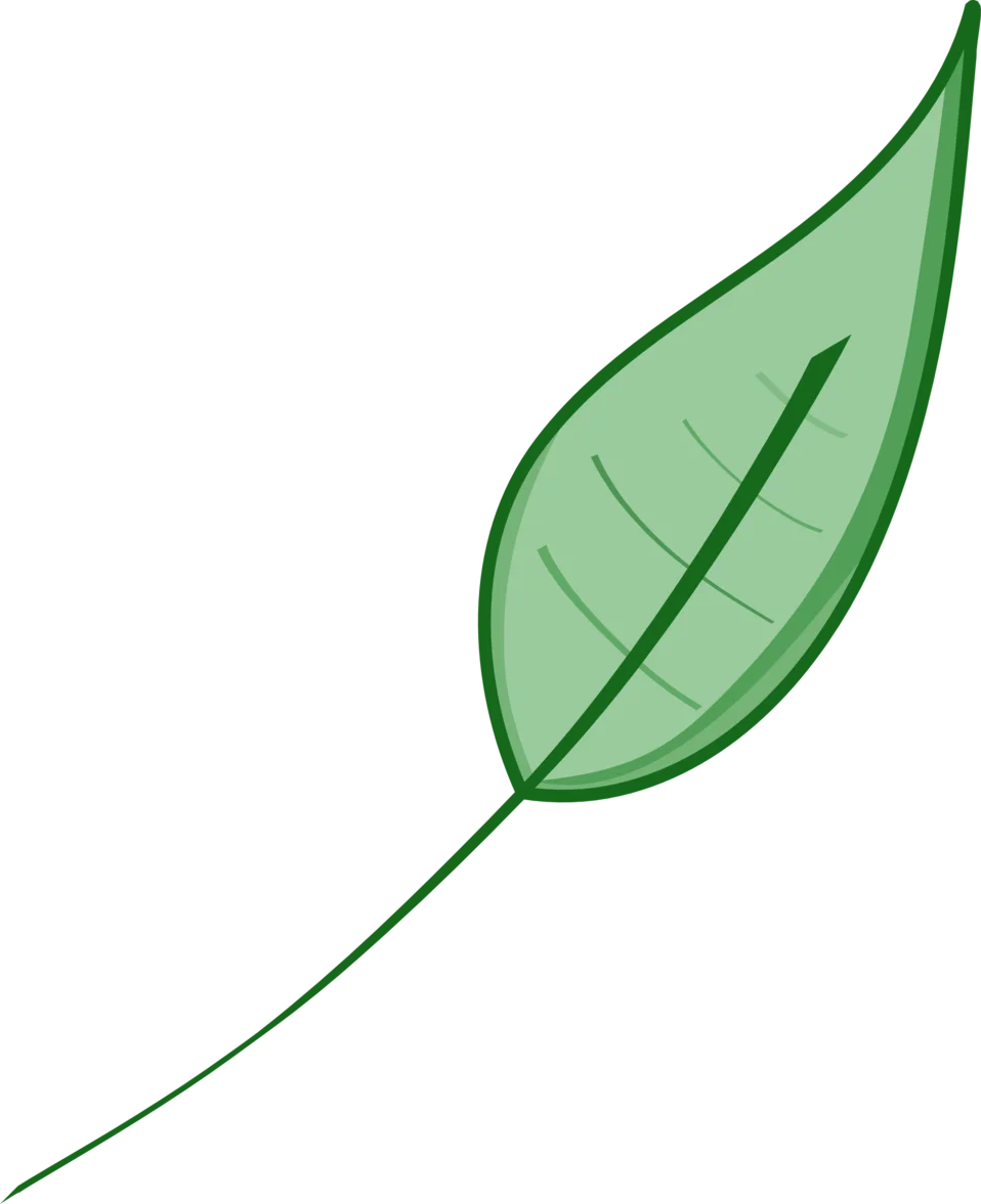 Elegant Green Leaf Clipart with Simple Linear Veins and Delicate Stem Design