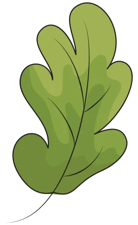 Elegant Green Oak Leaf Clipart Illustration with Soft Shaded Edges