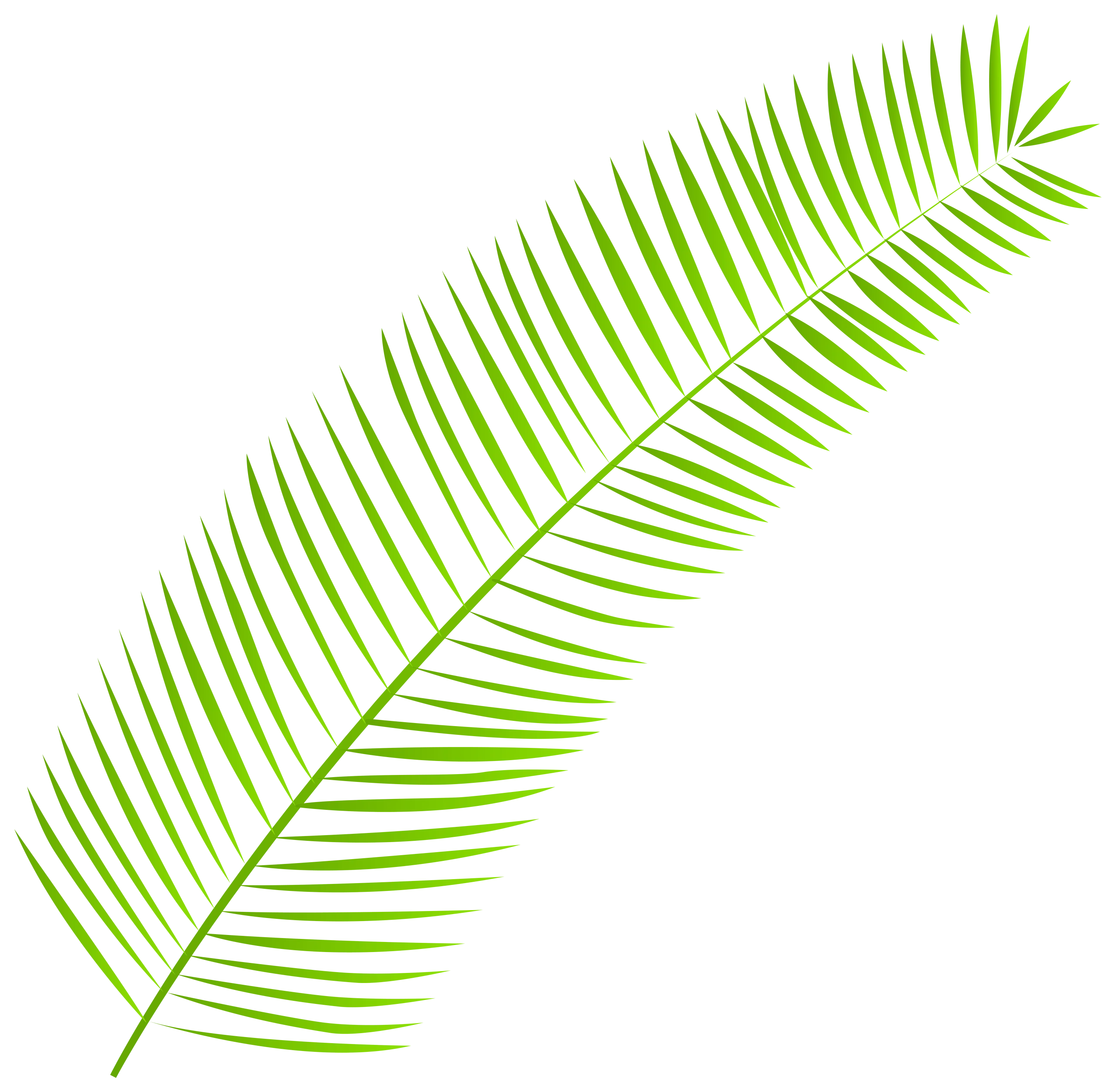 Elegant Green Palm Leaf Clipart Illustration with Delicate Feathered Edges