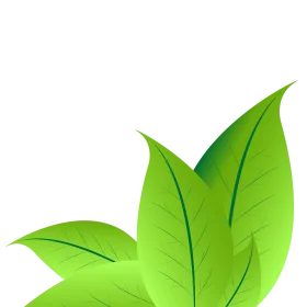 Fresh Green Botanical Leaf Clipart Design with Natural Organic Shapes