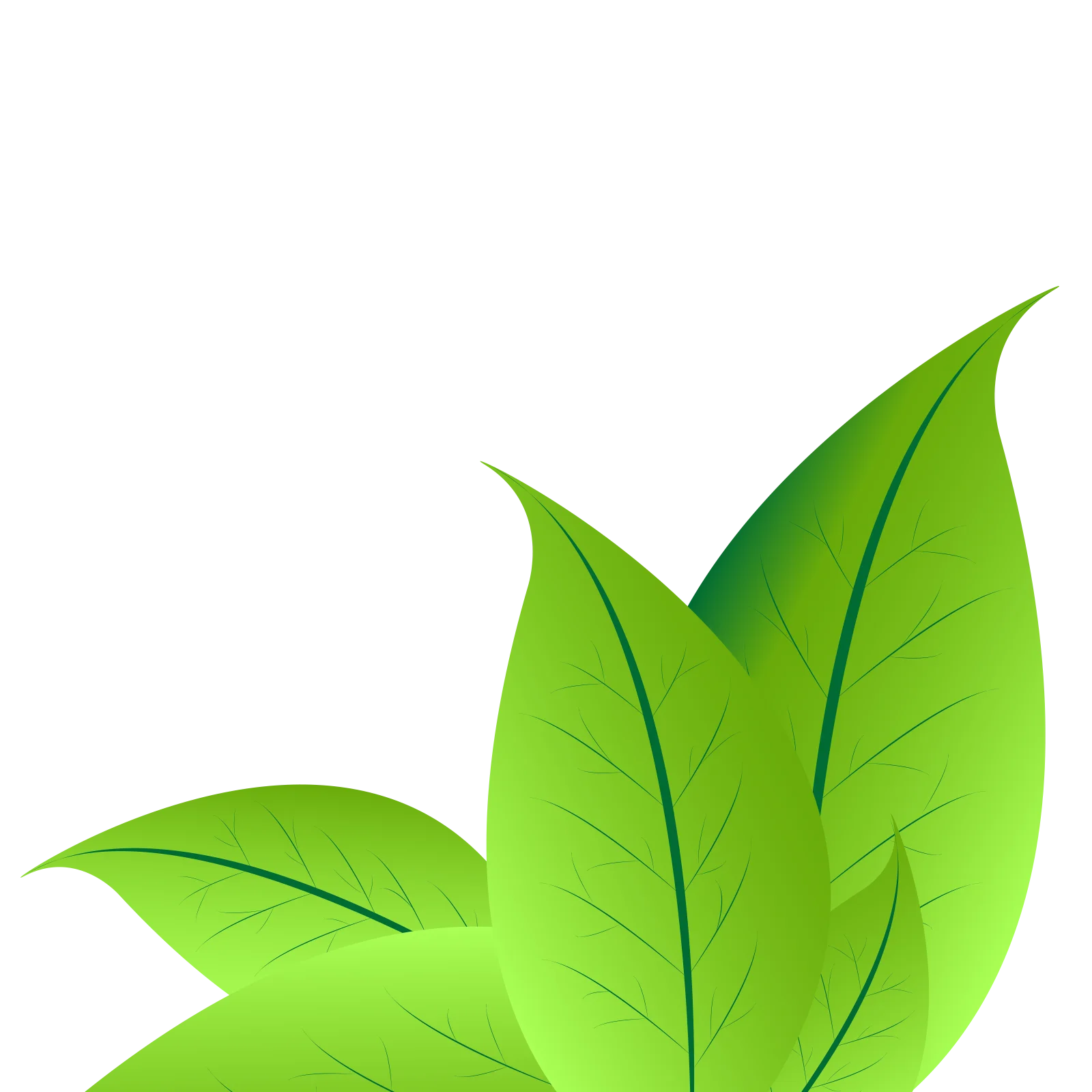 Fresh Green Botanical Leaf Clipart Design with Natural Organic Shapes