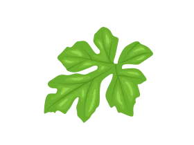 Fresh Green Five-Lobed Botanical Leaf Clipart Illustration Design