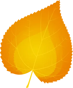 Golden Autumn Leaf Clipart: Radiant Warmth of Seasonal Transformation