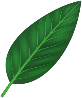 Lush Green Nature-Inspired Botanical Leaf Clipart Illustration
