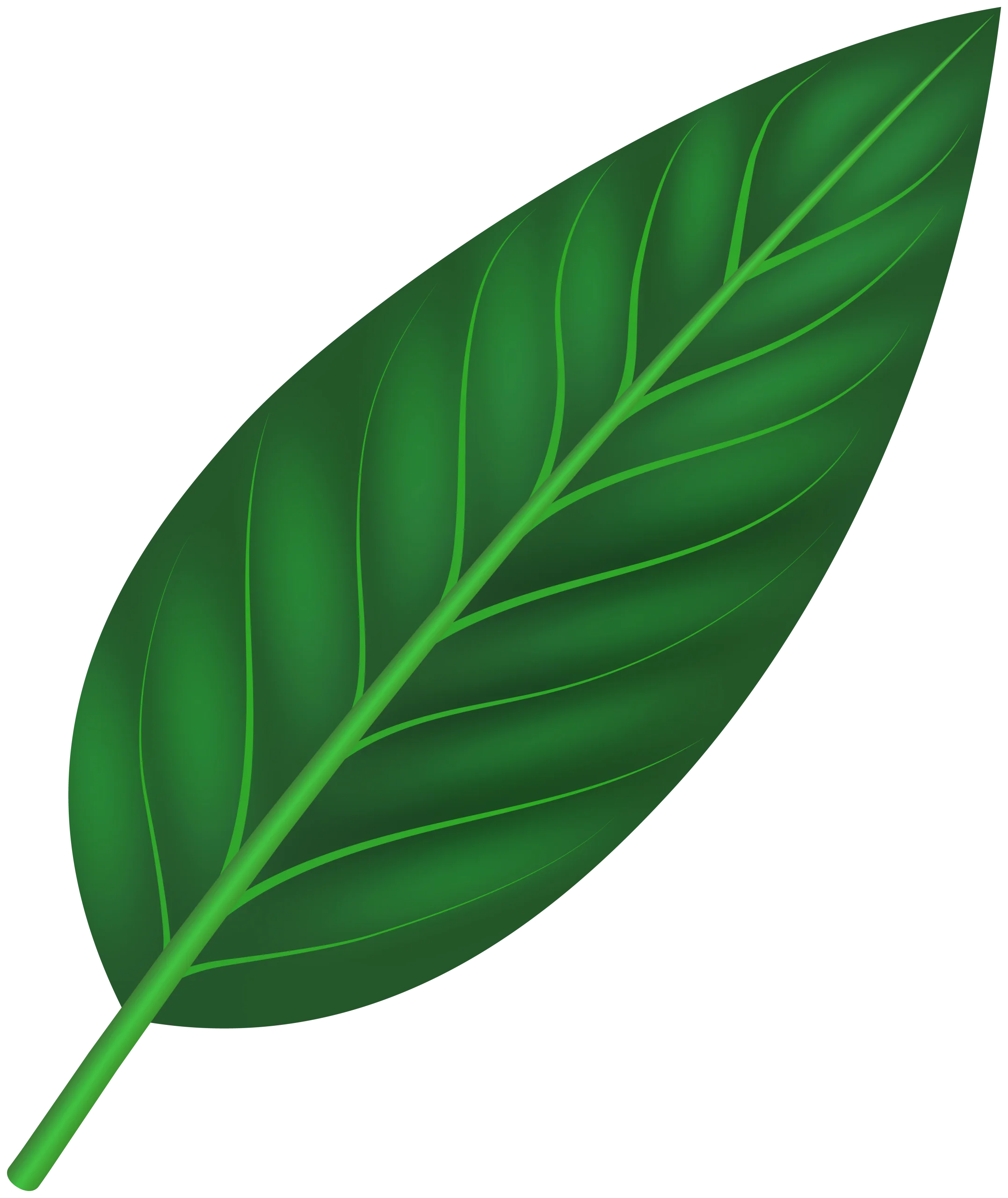 Lush Green Nature-Inspired Botanical Leaf Clipart Illustration