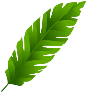 Lush Green Tropical Banana Leaf Clipart with Serrated Edges and Natural Texture