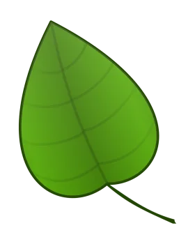 Simple Green Heart-Shaped Leaf Clipart Illustration with Natural Texture