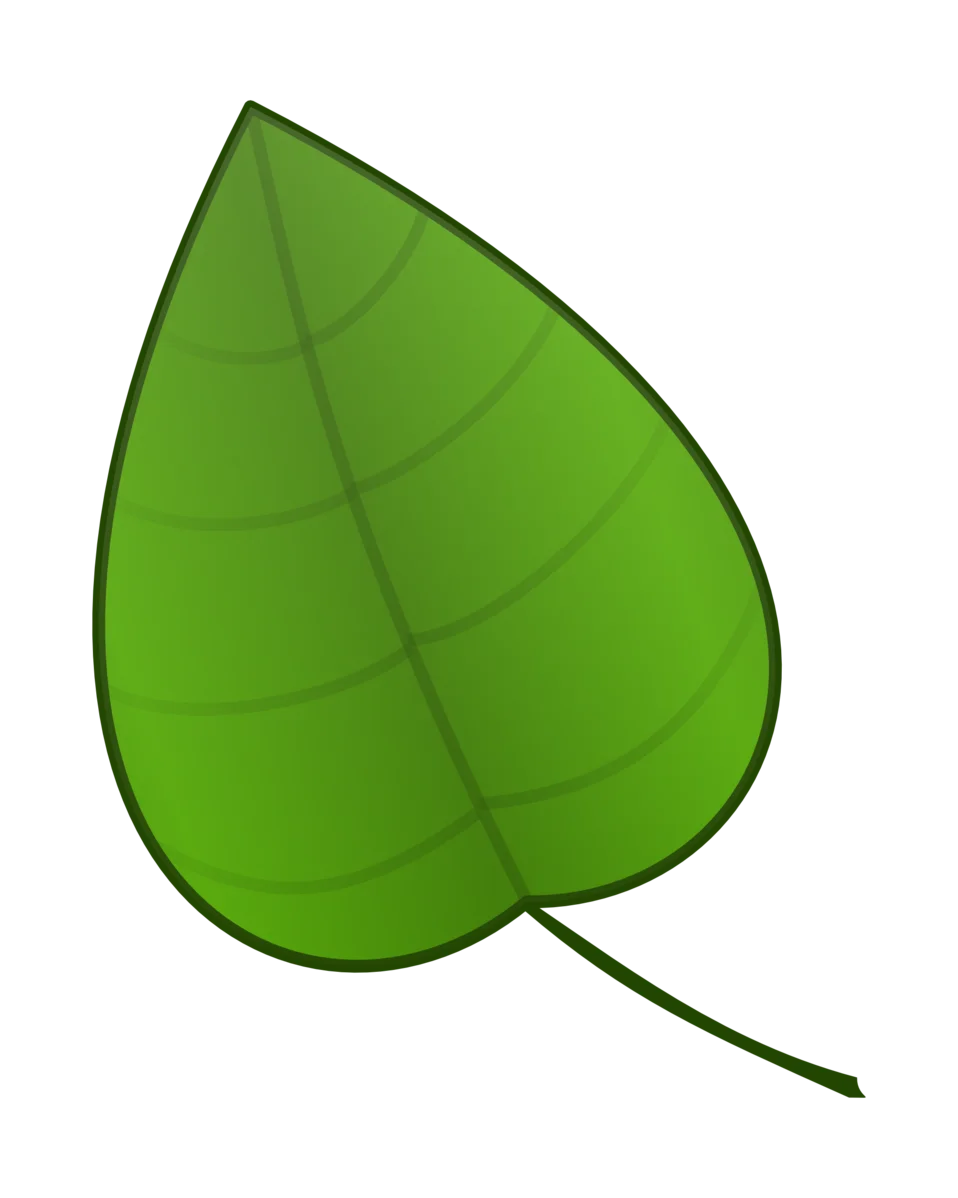 Simple Green Heart-Shaped Leaf Clipart Illustration with Natural Texture