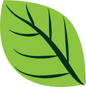Simple Green Leaf Clipart Illustration with Botanical Vector Design