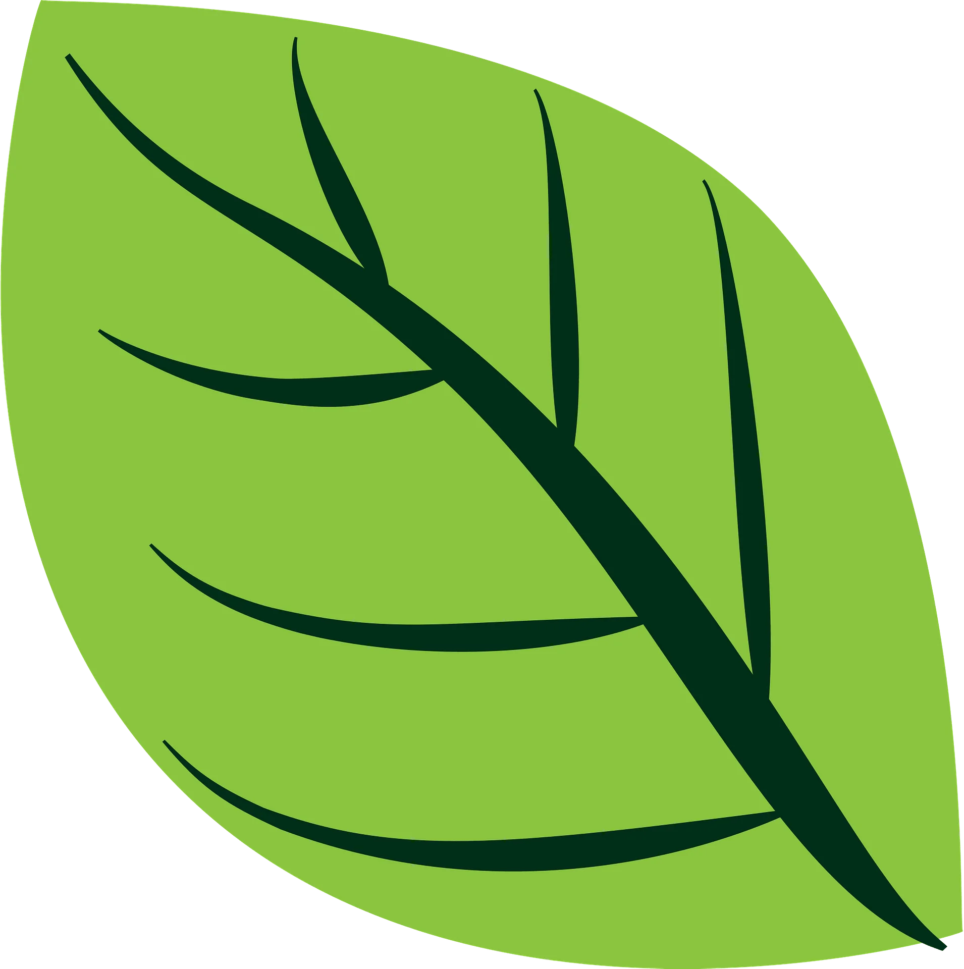 Simple Green Leaf Clipart Illustration with Botanical Vector Design