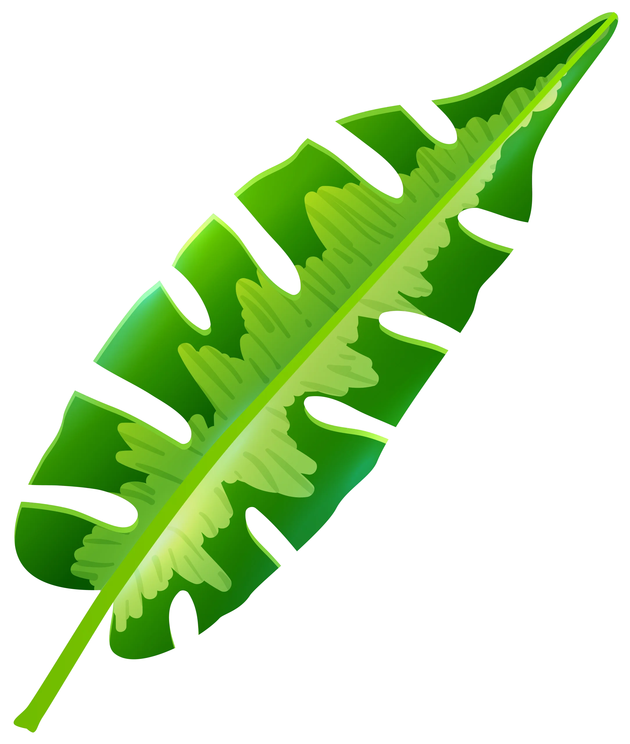 Tropical Banana Leaf Clipart with Serrated Edges and Bright Green Hue