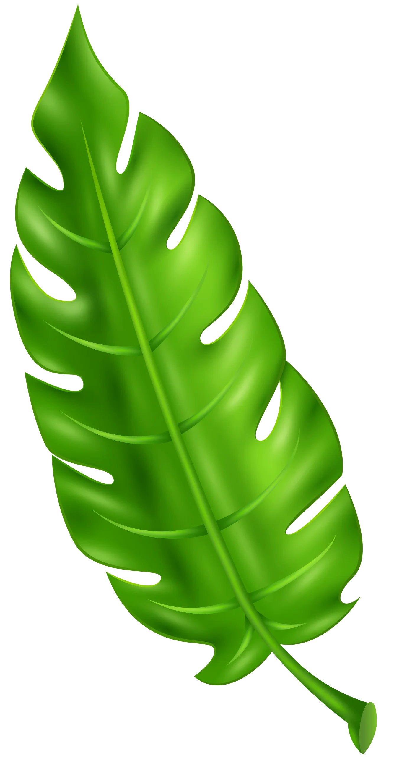 Tropical Monstera Leaf Clipart with Distinctive Serrated Edges and Glossy Texture