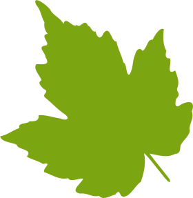 Verdant Green Maple Leaf Silhouette Clipart - Nature's Elegant Outline