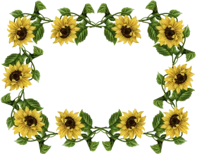 Radiant Sunflower Garden Frame Clipart: Natural Botanical Border Design