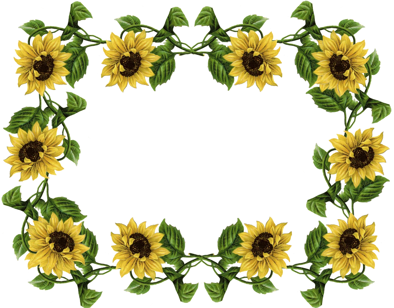 Radiant Sunflower Garden Frame Clipart: Natural Botanical Border Design