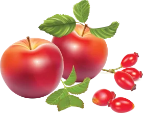 Fresh and Ripe Red Apples with Rose Hip Berries Realistic Clipart Design