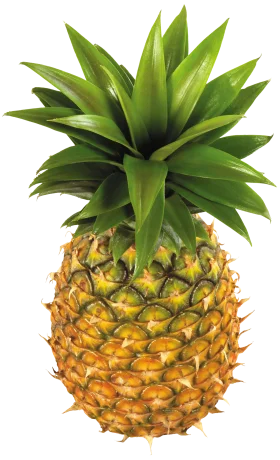 Fresh Tropical Pineapple Clipart: Golden-Hued Fruit with Lush Green Crown