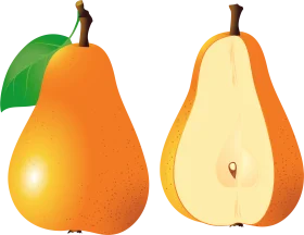Illustrative Pear Clipart Showcasing Whole and Cross-Section Fruit Design