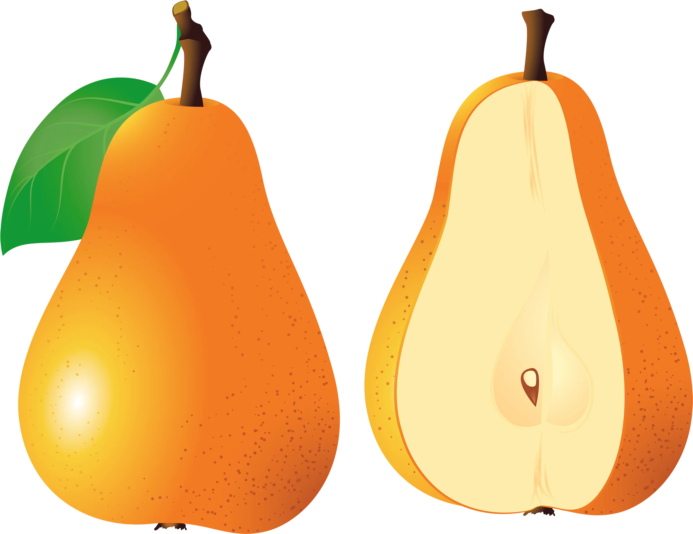 Illustrative Pear Clipart Showcasing Whole and Cross-Section Fruit Design
