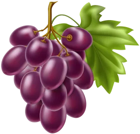 Luscious Purple Grape Cluster Clipart with Emerald Green Leaf Detail