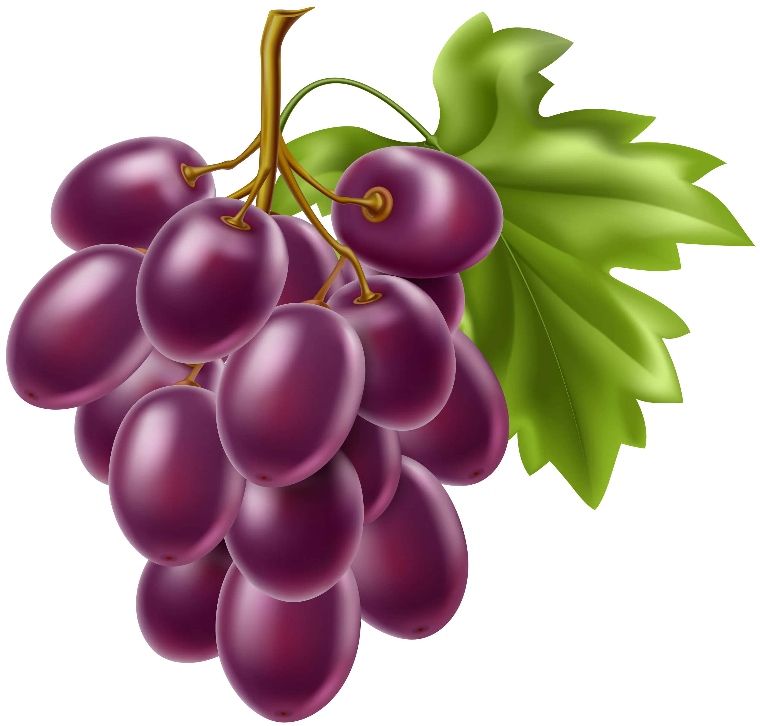 Luscious Purple Grape Cluster Clipart with Emerald Green Leaf Detail
