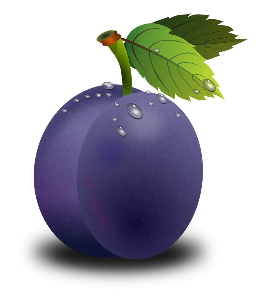 Realistic Deep Purple Plum Clipart Illustration with Water Droplets and Leaf