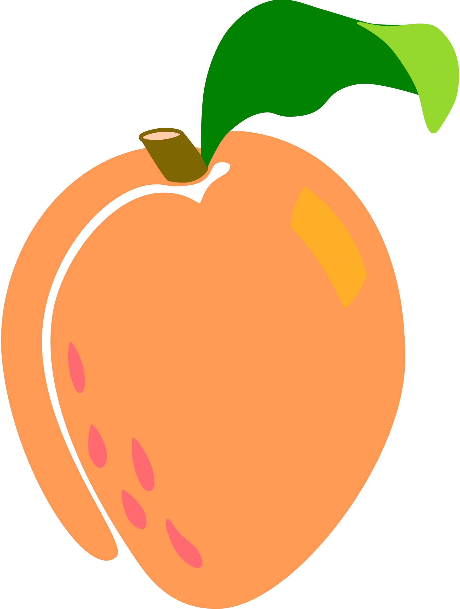 Stylized Peach Clipart Illustration with Soft Curves and Leafy Green Accent