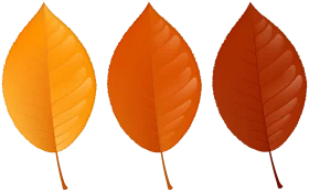 Autumn Leaf Gradient Animation: Transitioning Seasonal Color Palette