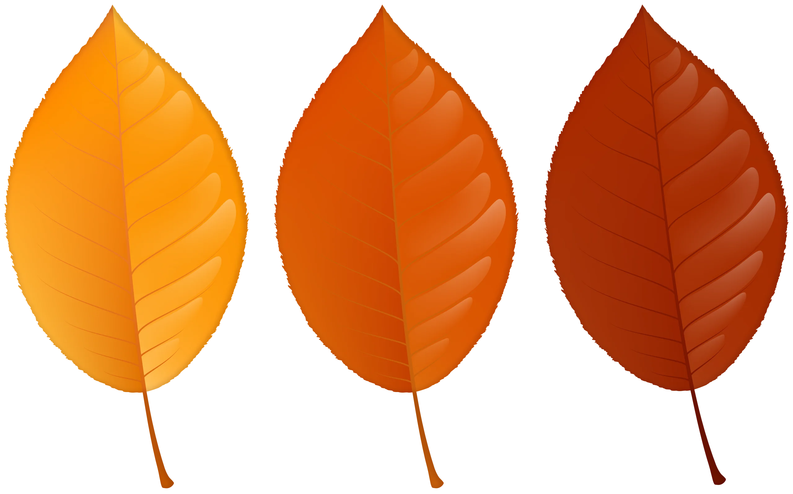 Autumn Leaf Gradient Animation: Transitioning Seasonal Color Palette