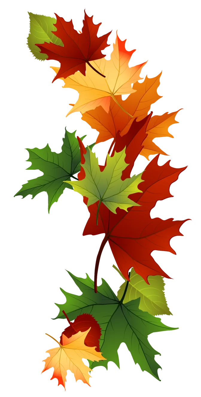 Autumn Leaves Animation: A Whimsical Dance of Seasonal Transformation